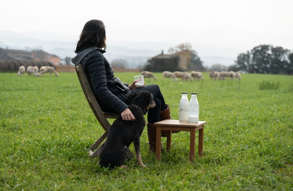 llet ovella ramat mas casas