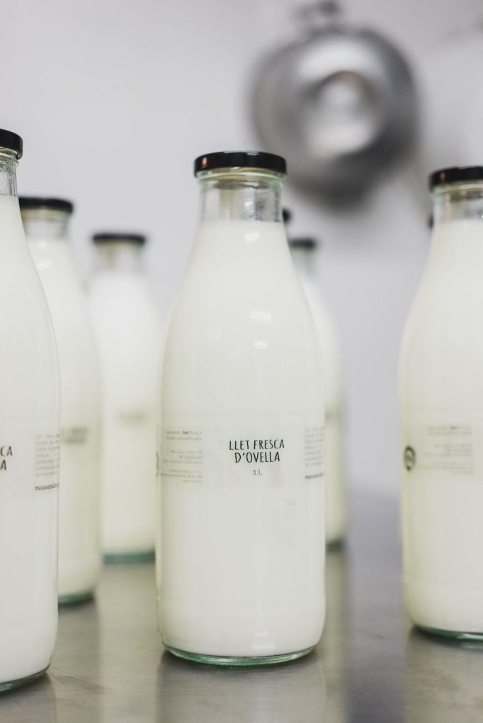 Granja Mas Casas Llet ovella pasteuritzada