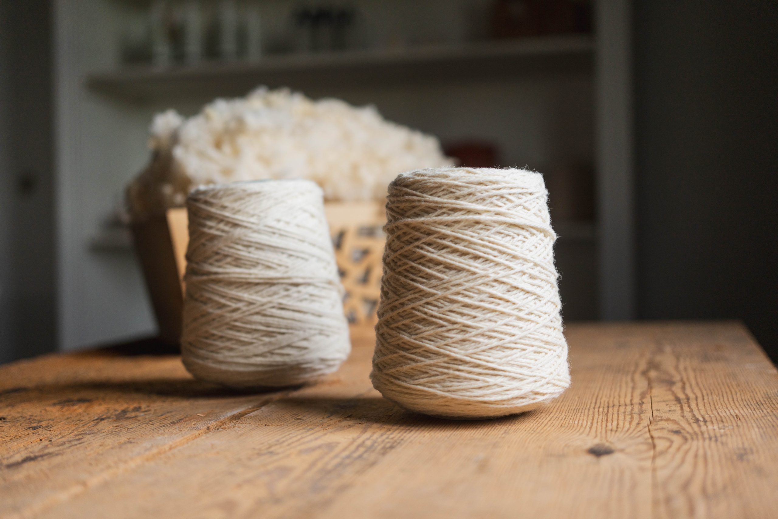 Granja Mas Casas llana filada ovella